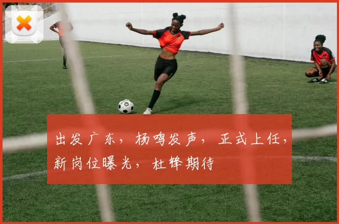 出发广东，杨鸣发声，正式上任，新岗位曝光，杜锋期待
